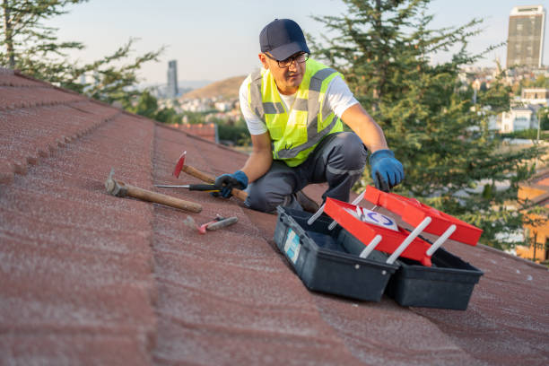 Best Storm Damage Siding Repair  in West Conshohocken, PA